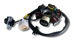 Kayo Lichtmaschine Zündung 110cc 125cc und 150cc